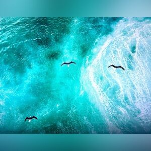 So beautiful! 💙🐠🩵🩵